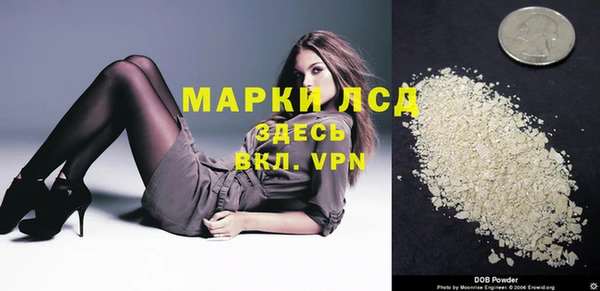 сатива Балахна