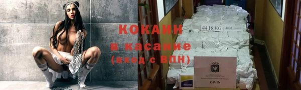 сатива Балахна