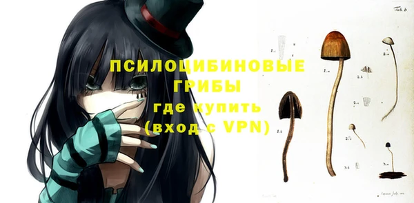 сатива Балахна