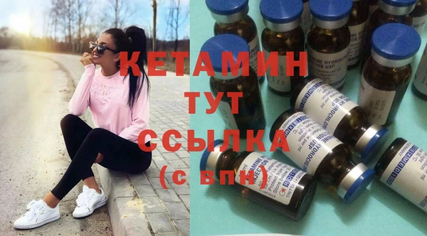 сатива Балахна